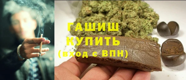 индика Кукмор
